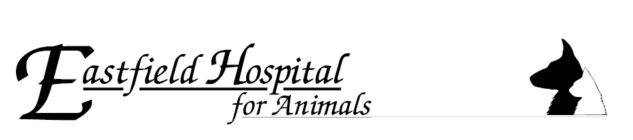 Eastfield Hospital For Animals