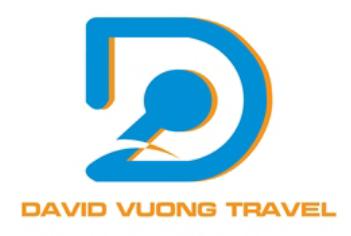 David Vuong Travel - logo