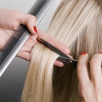 Hair Cutting