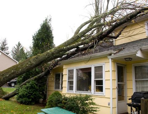 A House Damaged By A Falling Tree — Hugo, MN — Titan Exteriors A House Damaged By A Falling Tree — Hugo, MN — Titan Exteriors