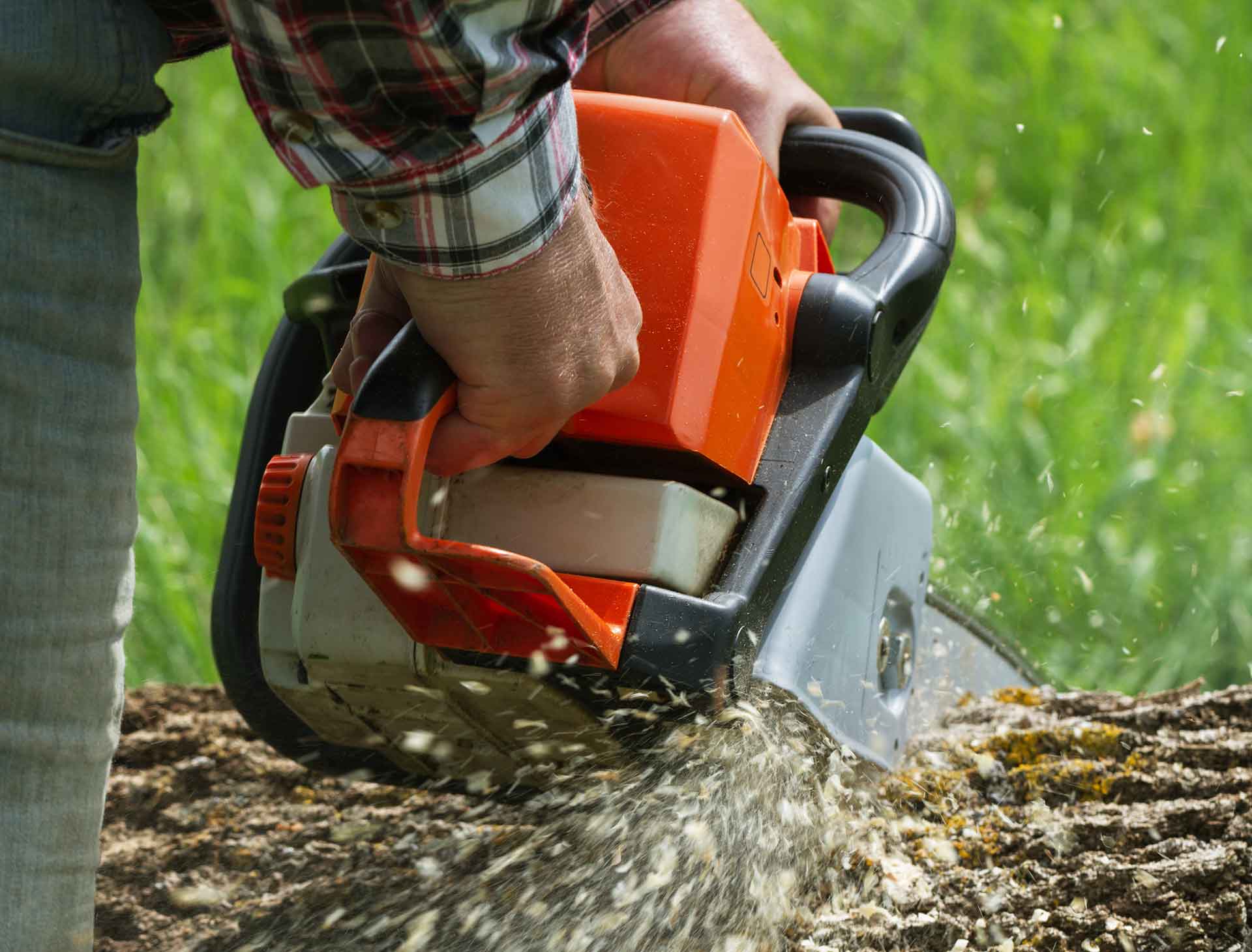 Dreamyard Landscaping, Inc. | Transplanting - Southampton, NY Person using an orange chainsaw to cut a log, wood chips flying.
