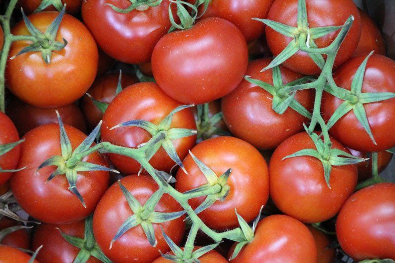 prodotti biologici