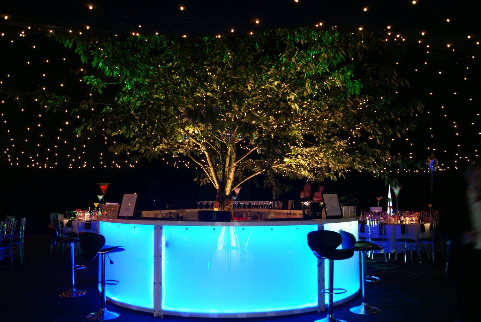Glowing blue bar under a lit tree, with twinkling string lights in a dark outdoor venue