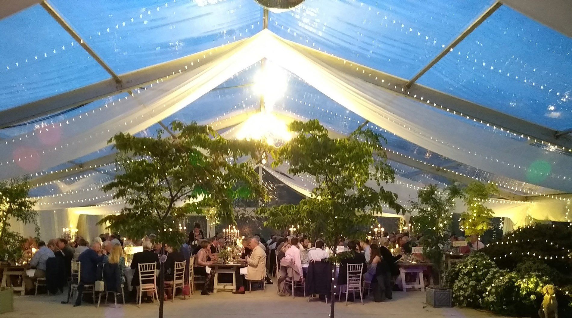 Guests seated under a glowing blue-lit tent at a formal outdoor banquet.