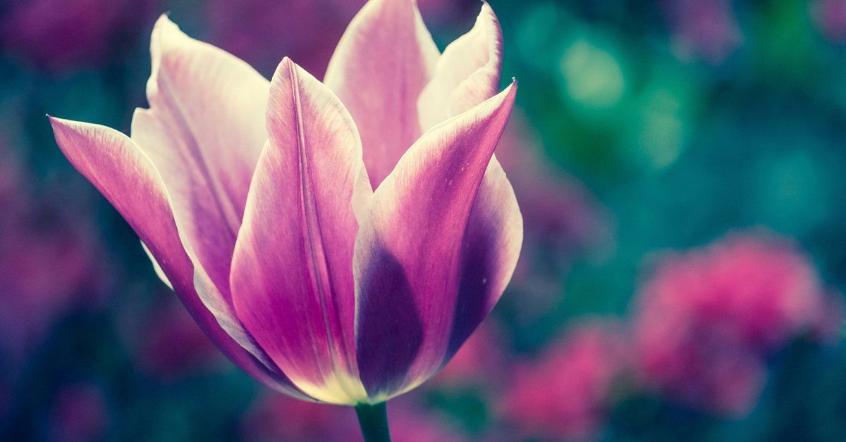 helping yourself heal