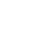 Wings Icon
