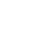 Panzerotti Icon