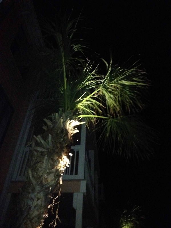 Walk Path — landscaping in Swansboro, NC Walk Path — landscaping in Swansboro, NC
