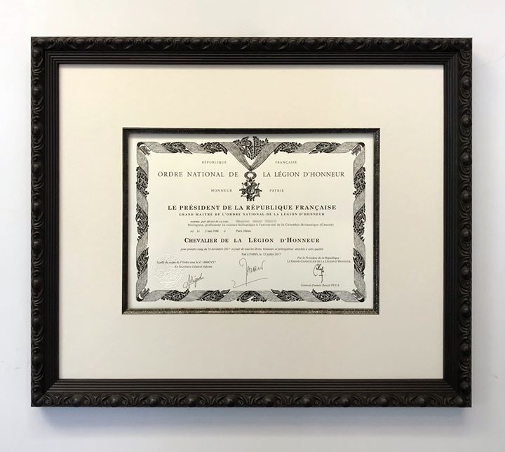 A framed French Legion of Honour certificate with cream matting in a dark, ornate wooden frame against a white wall.