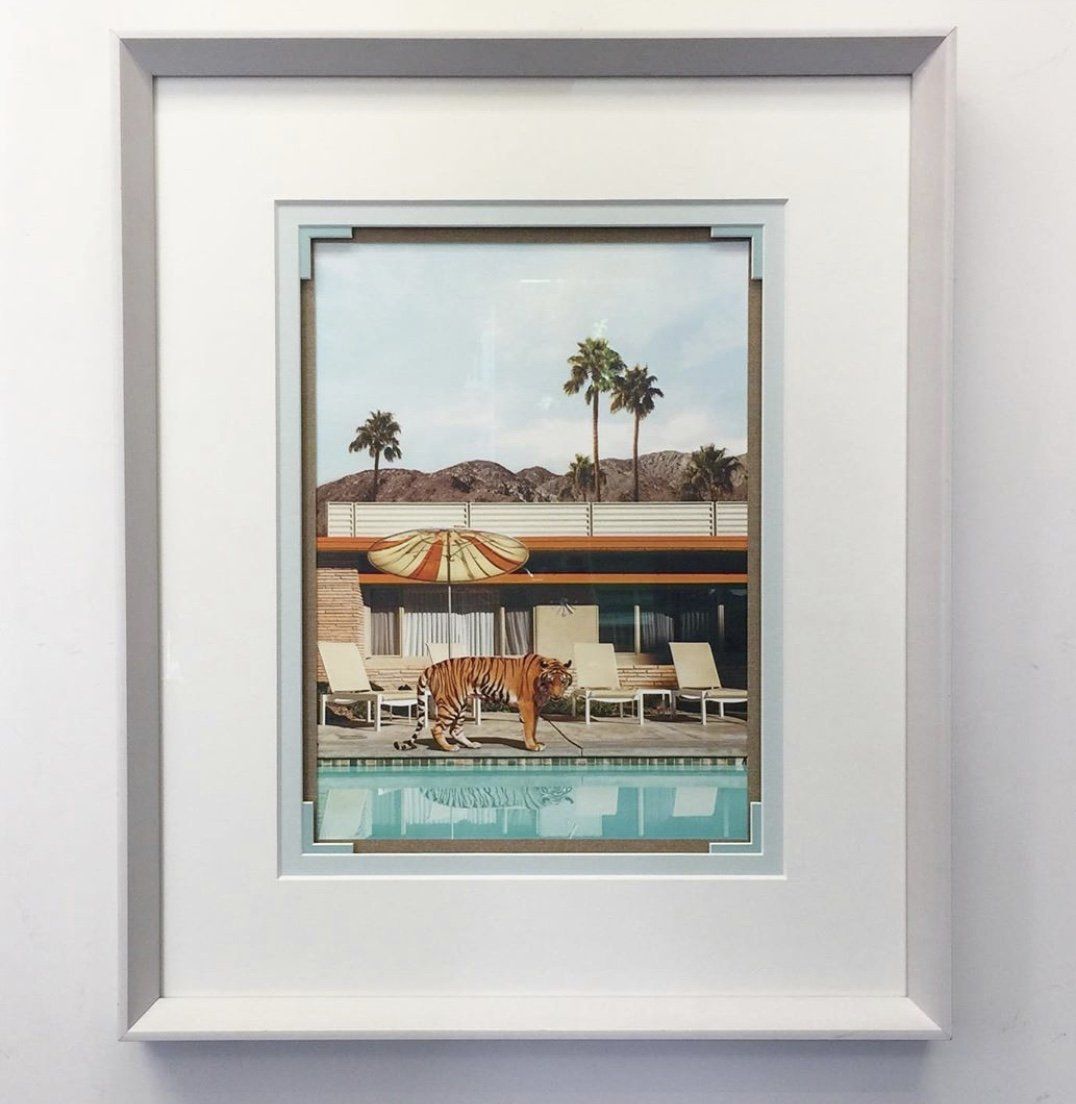A framed art print shows a tiger walking along the edge of a mid-century modern swimming pool with palm trees in back.