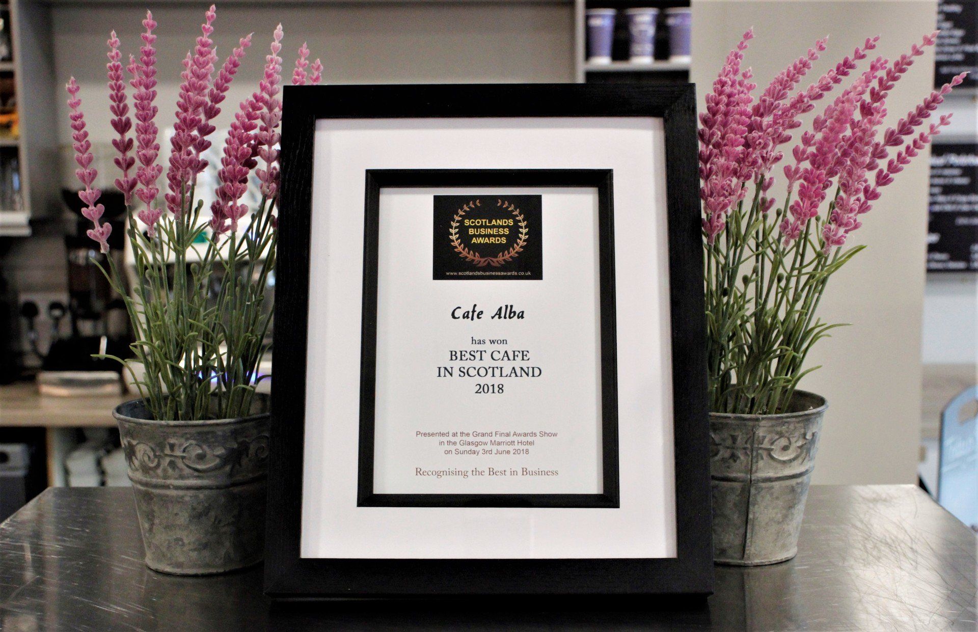 framed award