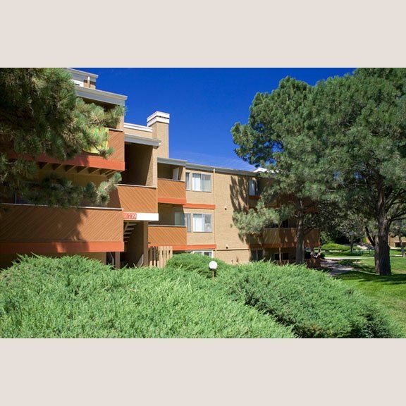 Apartment building with pine trees and shrubs