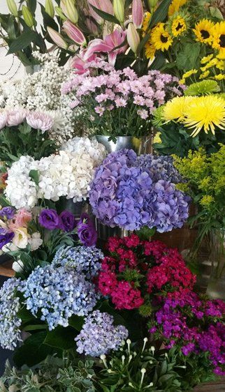 flowers