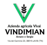 VIVAI AZIENDA AGRICOLA VINDIMIAN - LOGO