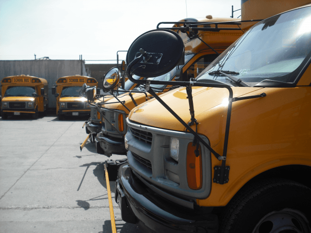 School Busses