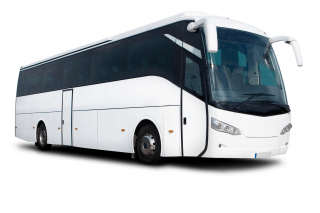 Large Bus Large Bus