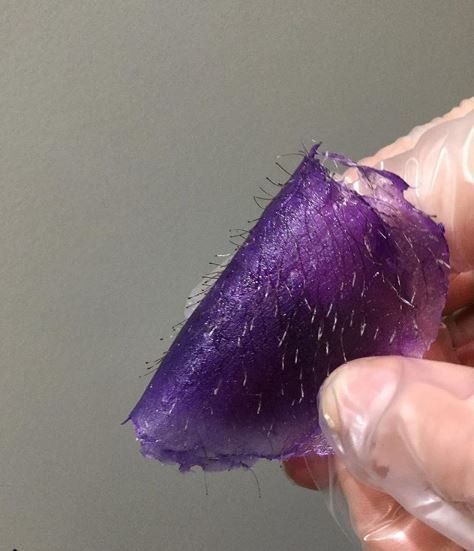 Gloved hand holding a translucent purple fibrous material over a gray background