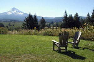 Mt. Hood View