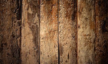 Structural woodwork repairs