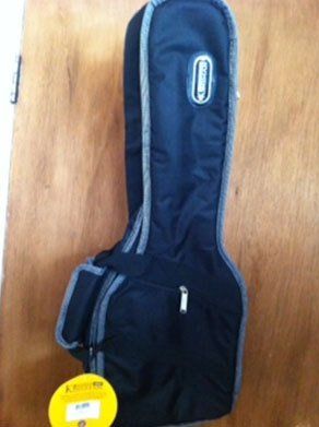 Padded ukulele case