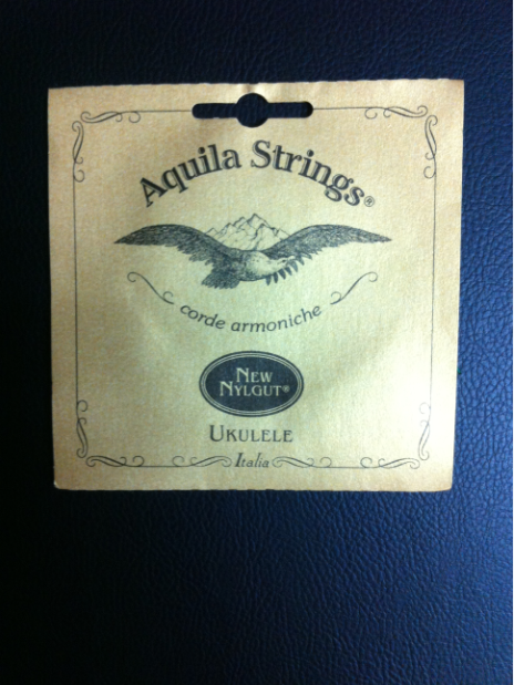 Padded ukulele case