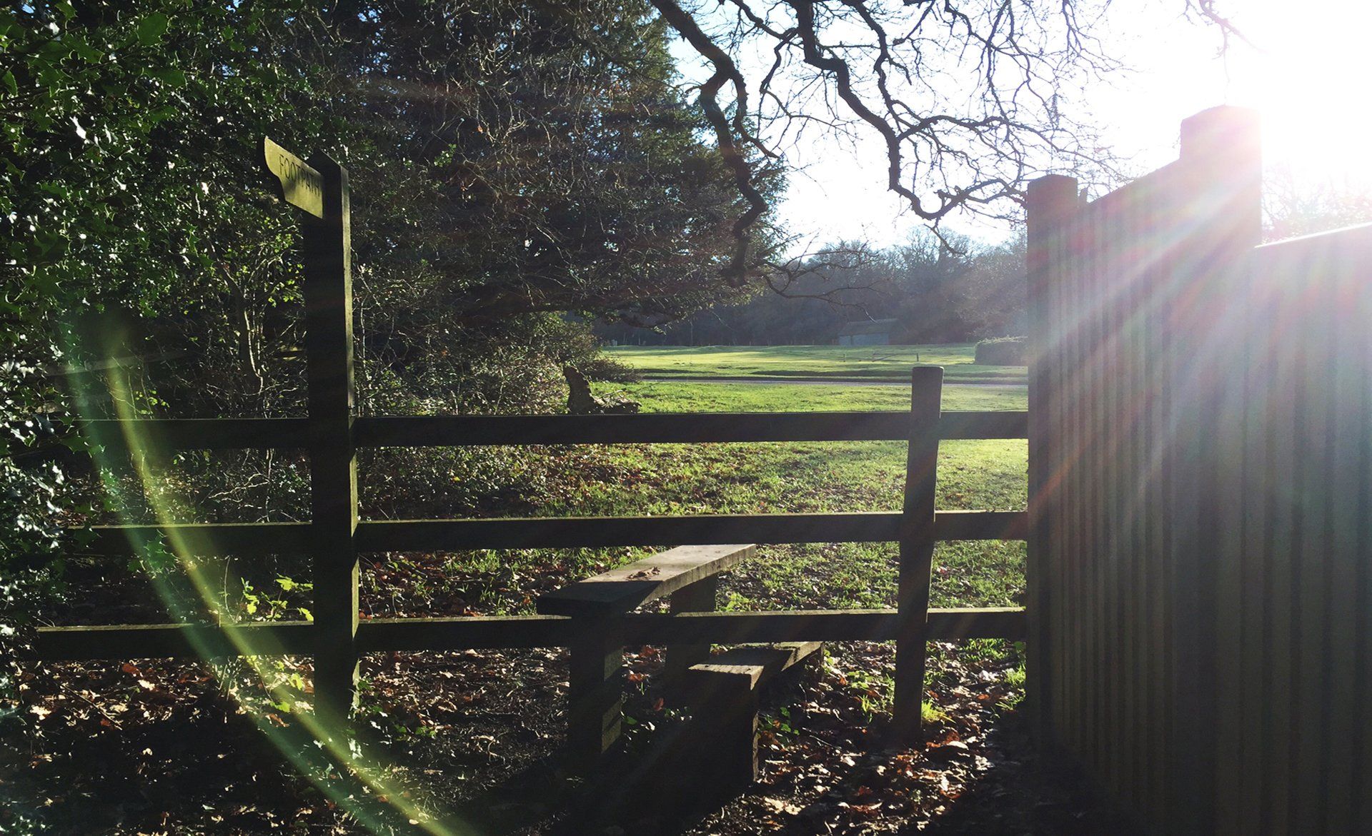 New Forest stile towards the cricket green