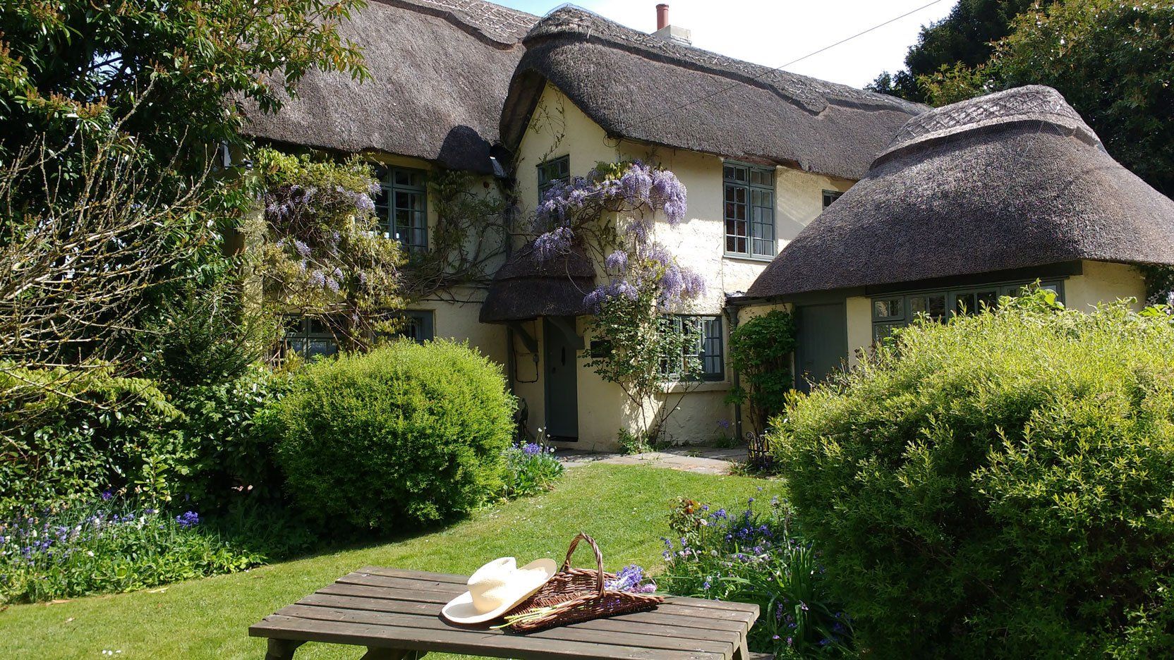 New Forest Cottage