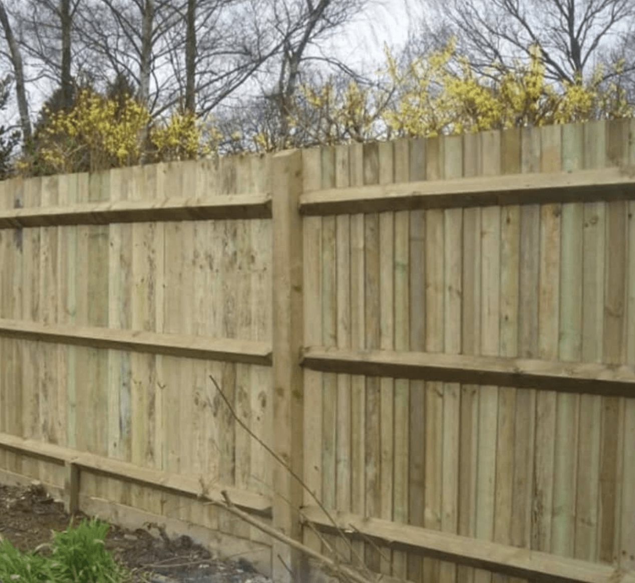 Fencing installation. Close board Fencing