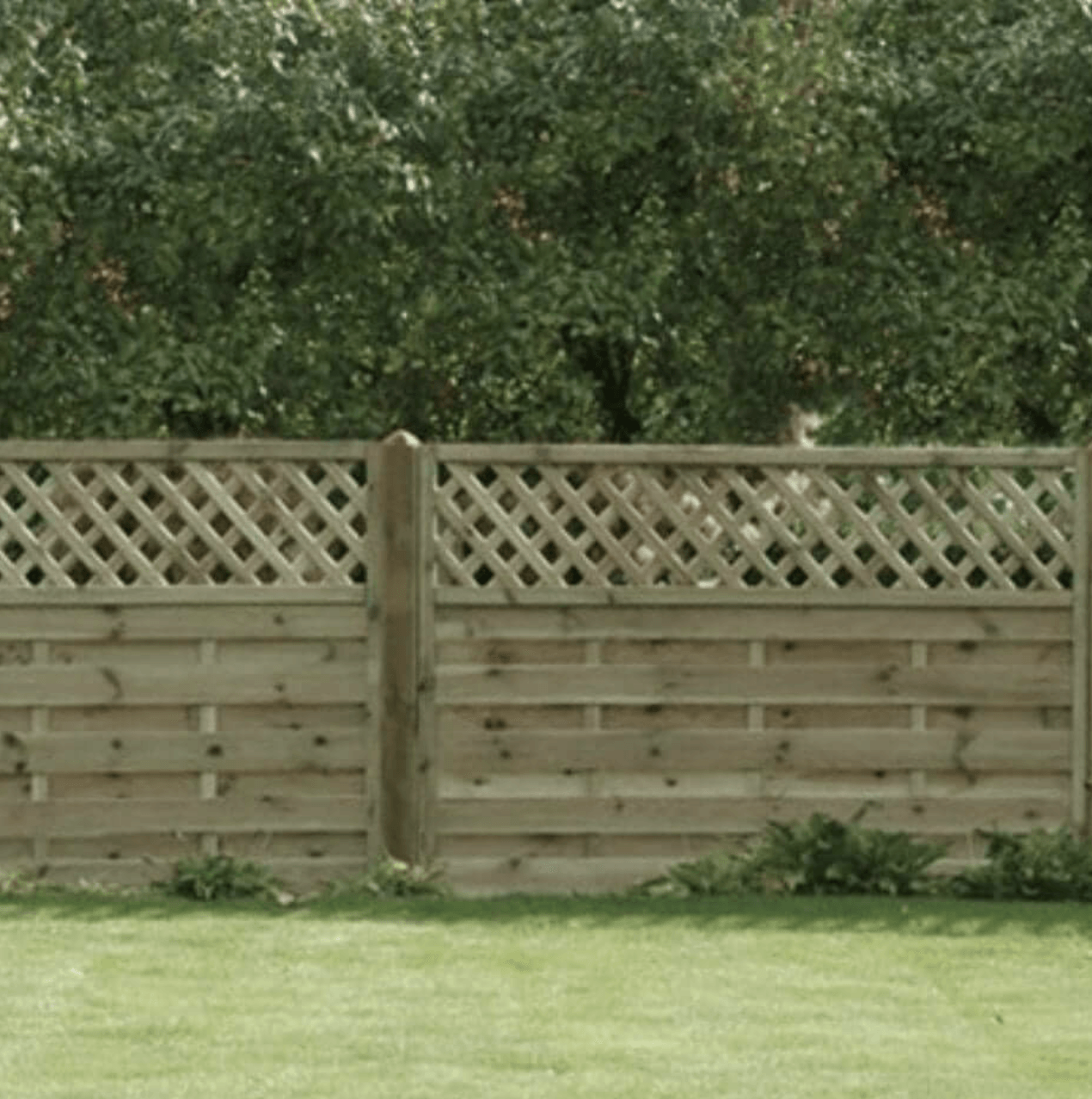 Northampton fencing. Horizontal Lattice Top panel