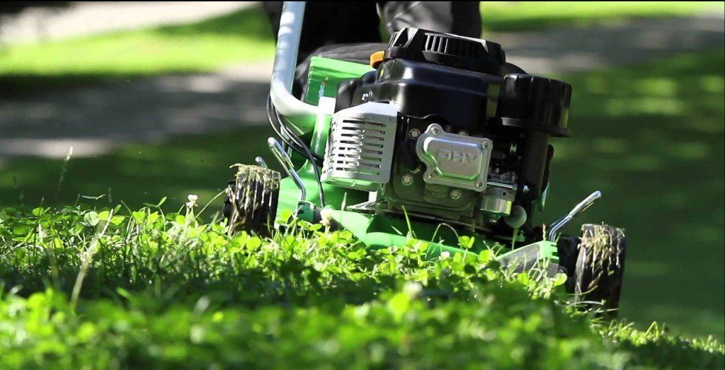 Garden services