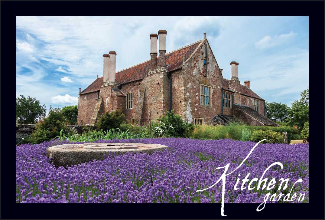 Acton Court lavender postcard