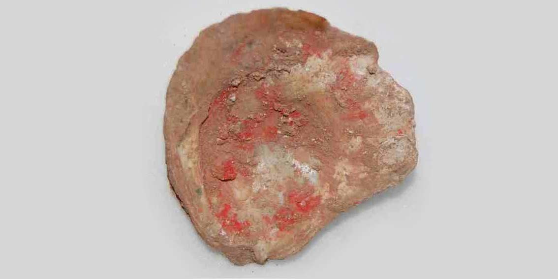 Oyster shell