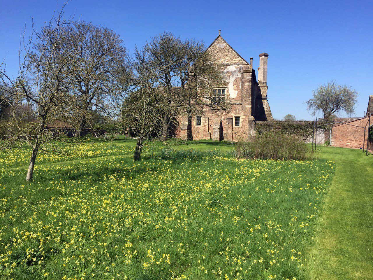 Meadow at Acton Court