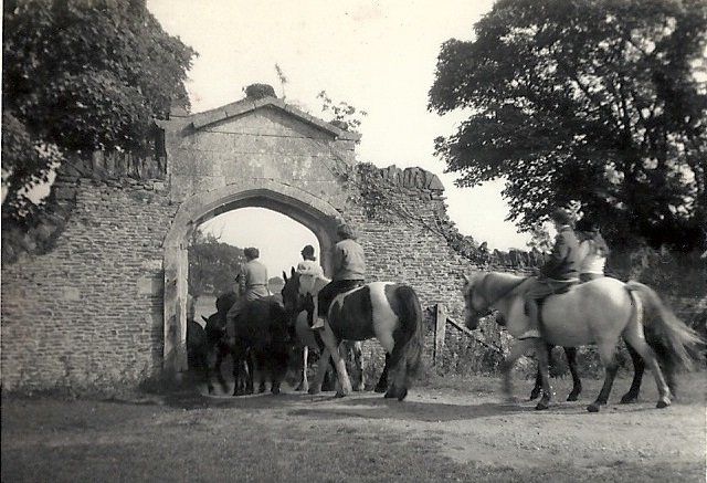 Keedwells riding horses