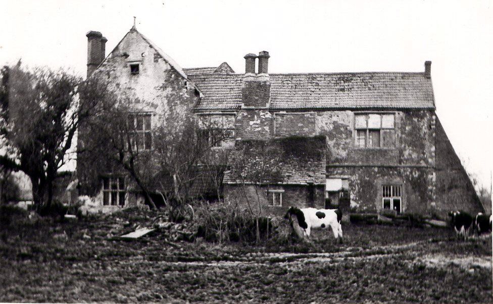 Keedwells Cows
