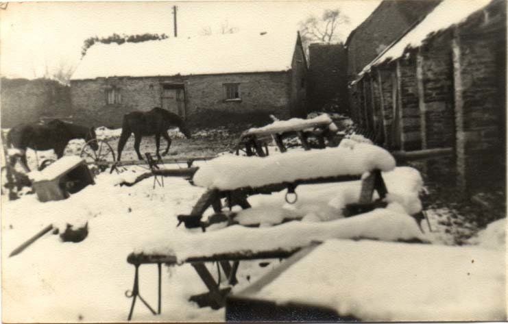 A black and white photo of horses in the snow at Acton Court