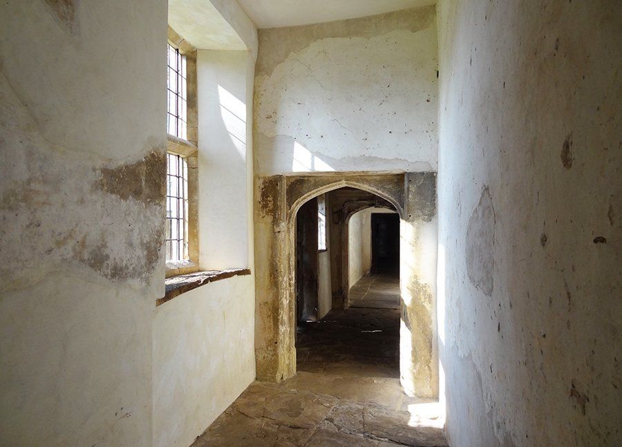 Conservation at Acton Court