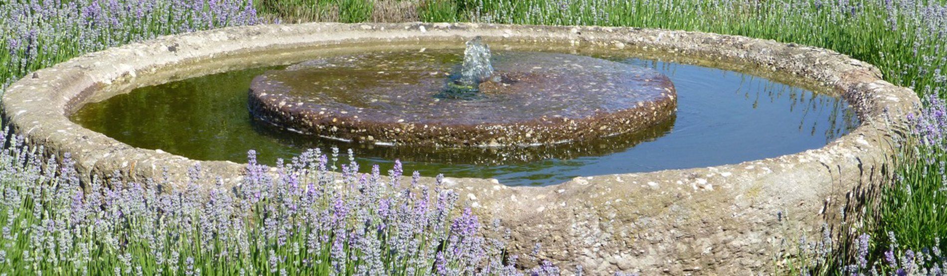 Acton House, grounds and garden