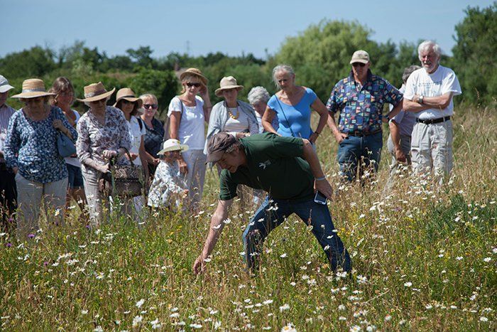 A group of people are standing in a field of flowers.