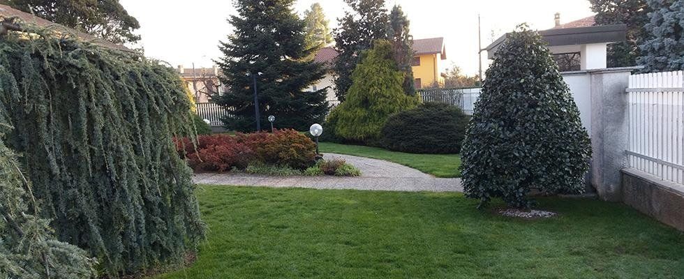 progettazione giardini
