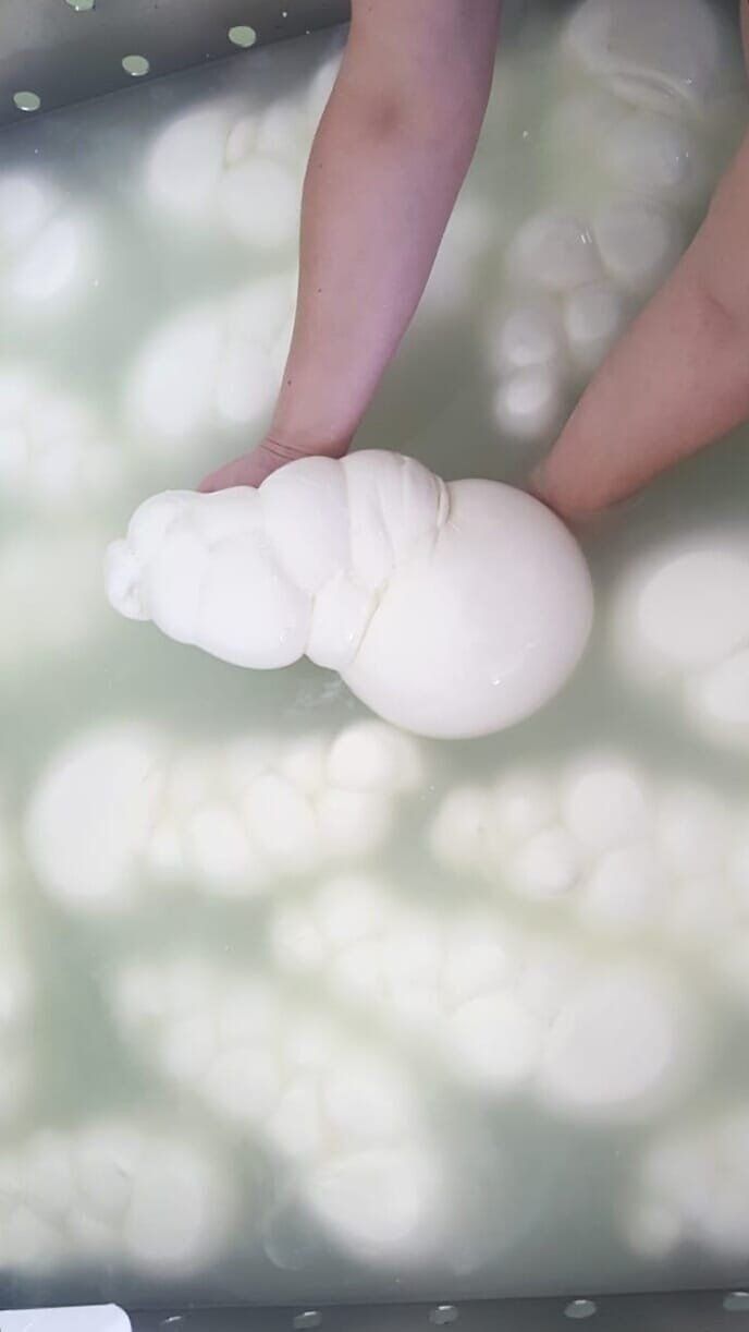 mozzarelle