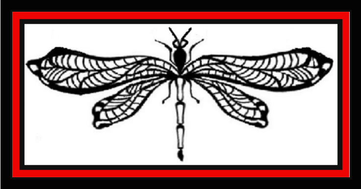Black-and-white dragonfly illustration centered in a red-bordered rectangle