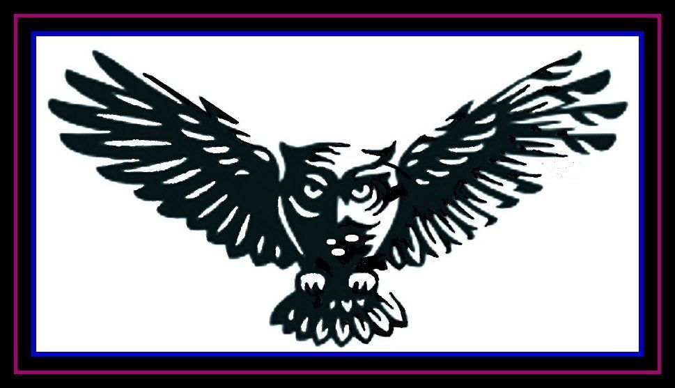 Black owl with spread wings in a white rectangle with purple and blue border