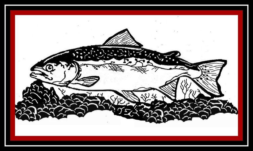 Black-and-white illustration of a fish lying on a bed of stones, framed by a red and black border