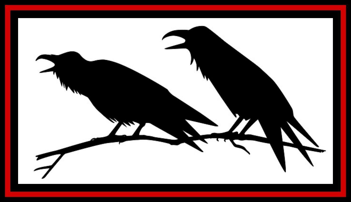 Two black crows perched on a branch, one with beak open, framed by a red border.