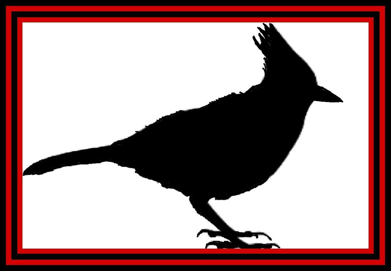 Stella Jay metal Wall Art Black bird silhouette with crest on white background, framed by a red border