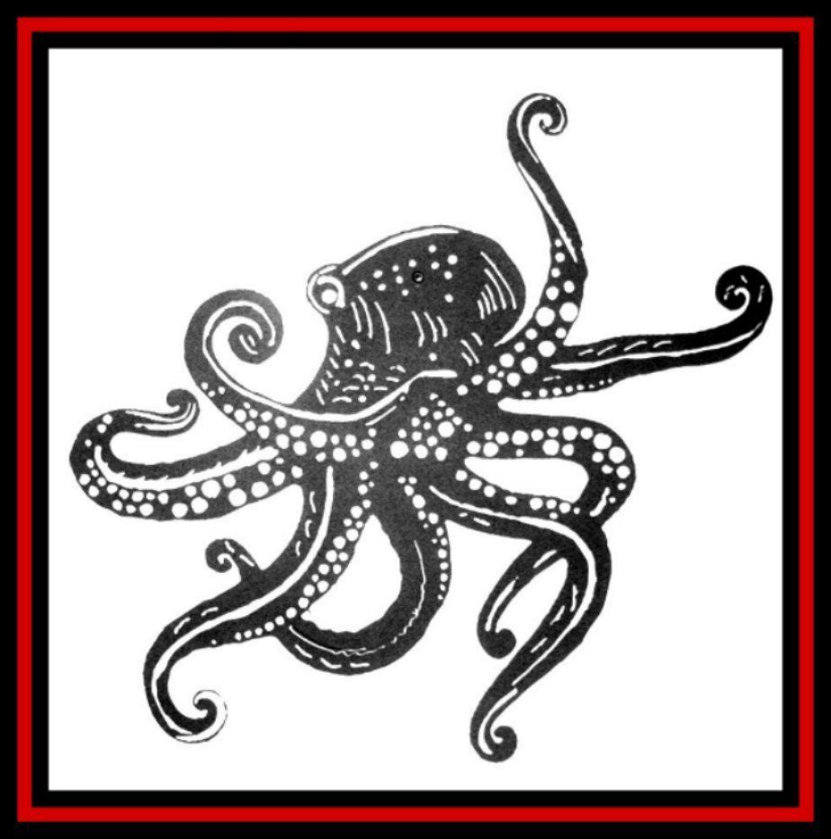 Black-and-white octopus illustration with curled tentacles inside a red border