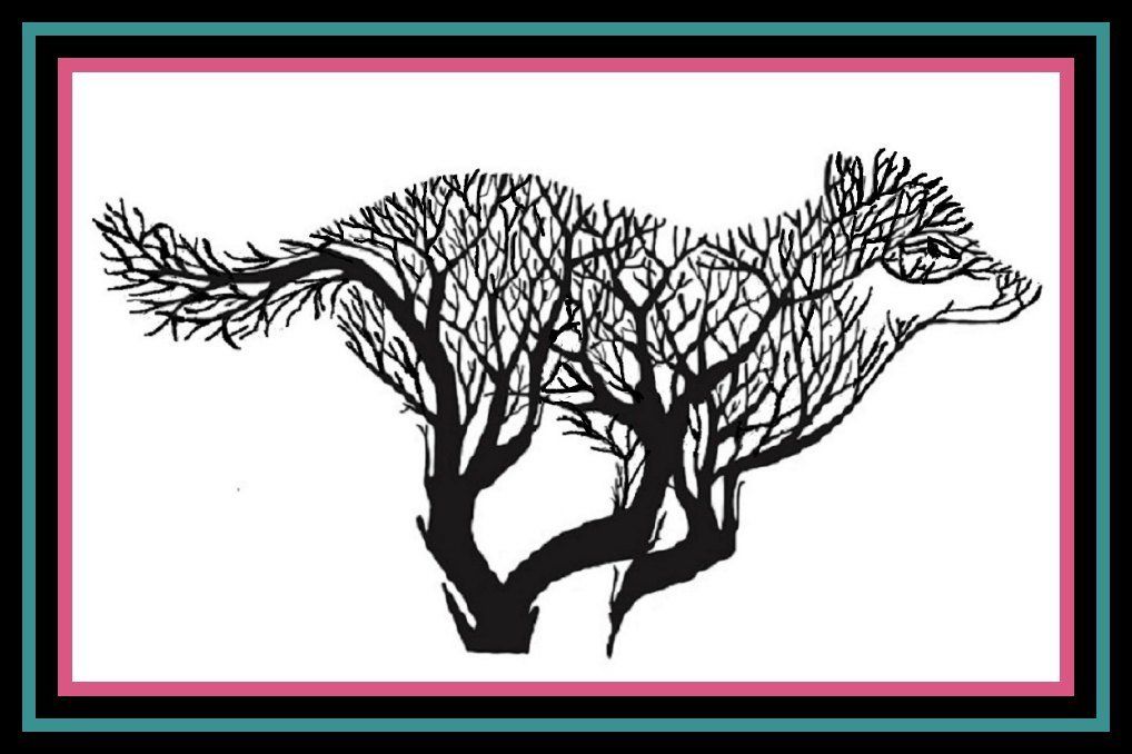 Black silhouette of two leafless trees with spreading branches on a white background, framed in pink and teal border