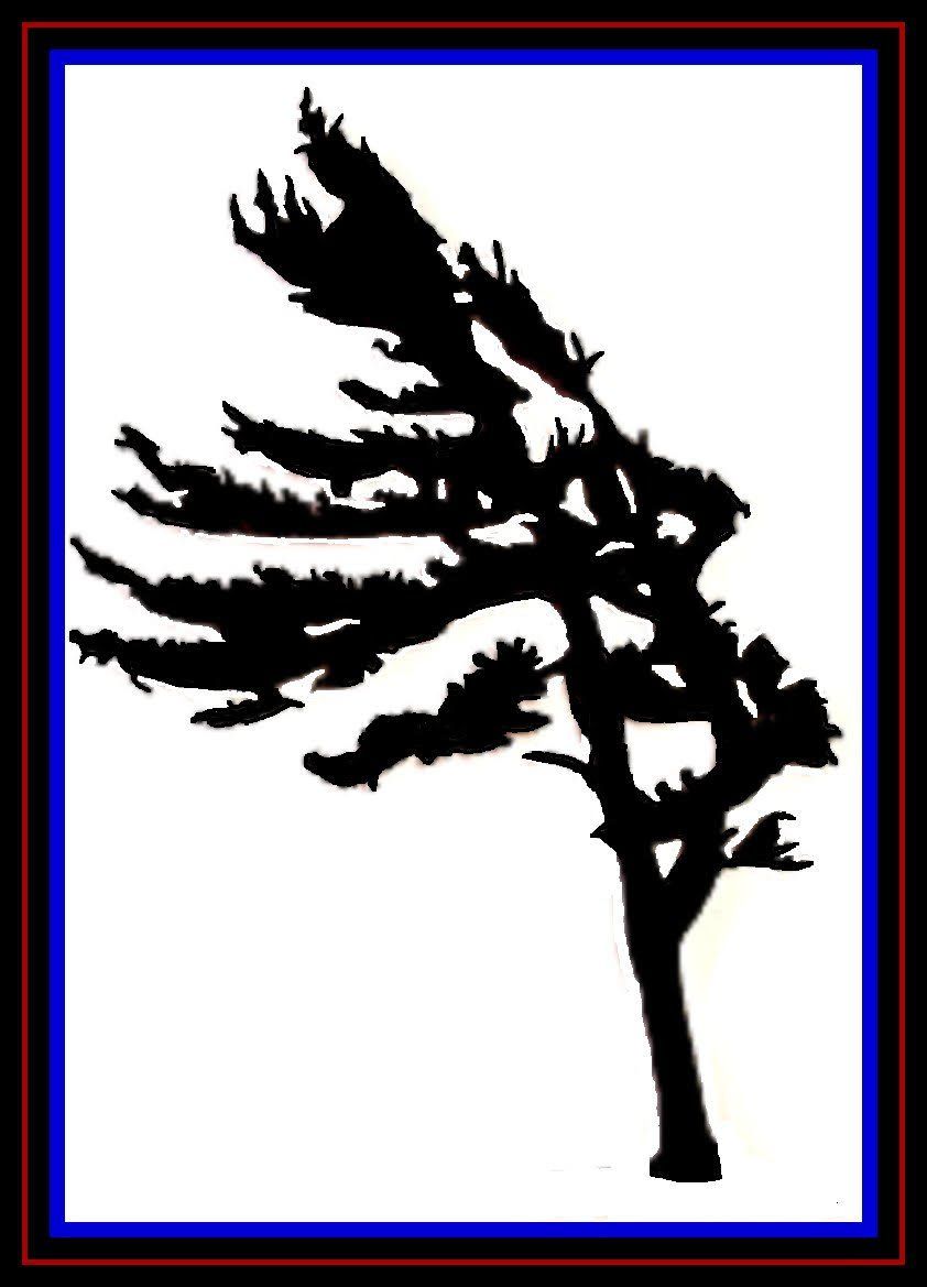 Black silhouette of a windblown tree with a blue and red border on white background