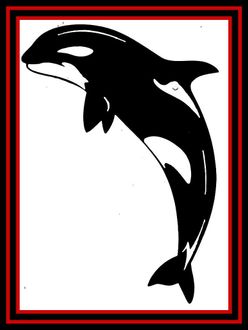 Black and white leaping orca silhouette inside a red and black bordered square
